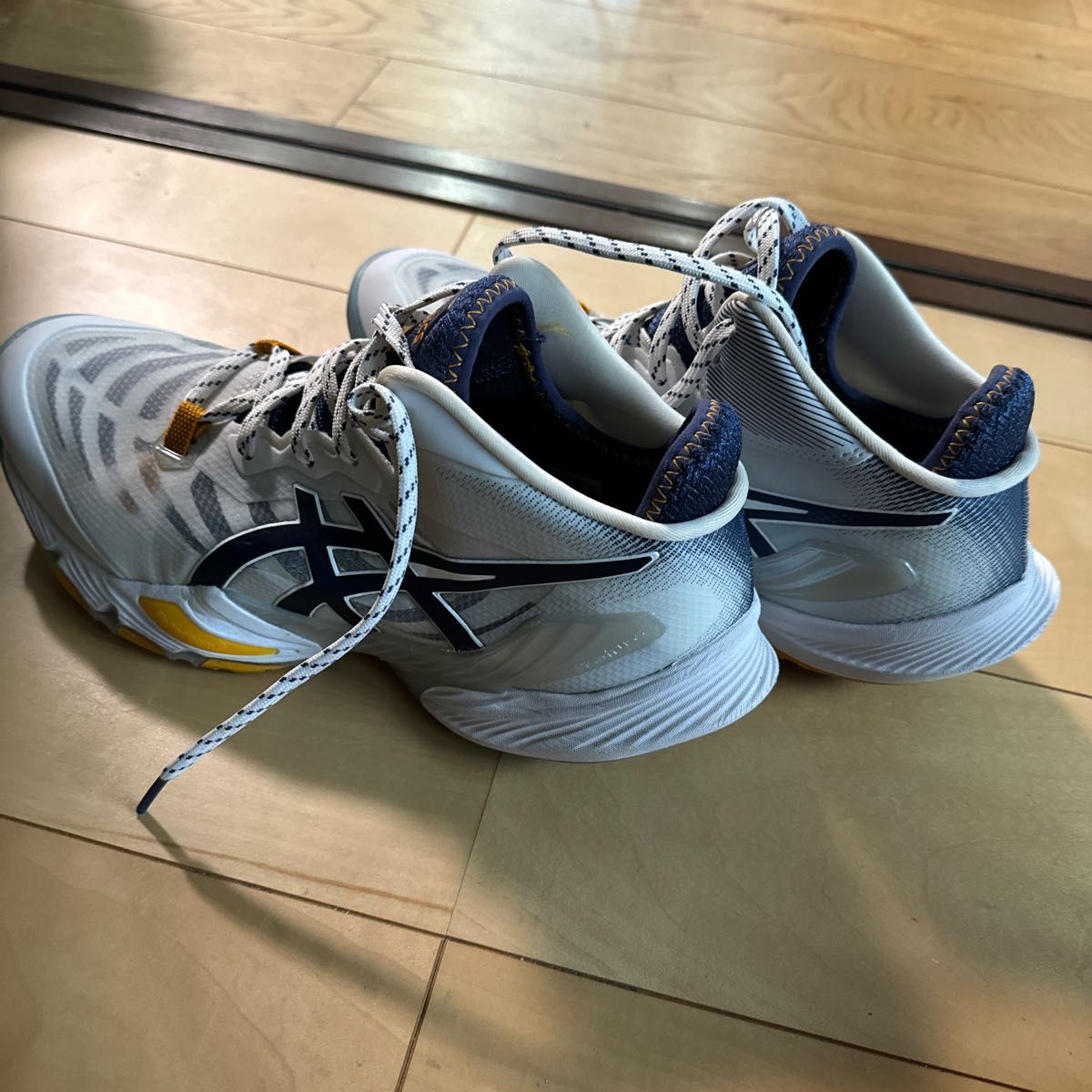 Asics METARISE アシックス　メタライズ