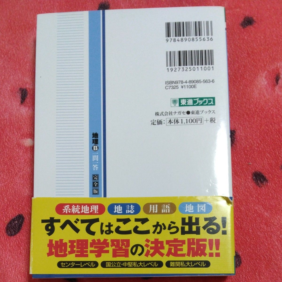 地理Ｂ一問一答　完全版 （東進ブックス　大学受験高速マスターシリーズ） 山岡信幸／著