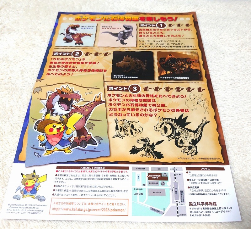 送料140円～★ポケットモンスター　ポケモン化石博物館　チラシ　フライヤー　国立科学博物館　2022_画像3