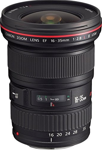Canon 広角ズームレンズ EF16-35mm F2.8L II USM フルサイズ対応　(shin