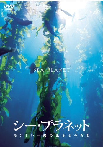 シー・プラネット モントレー湾の生き物たち [DVD]　(shin_画像1