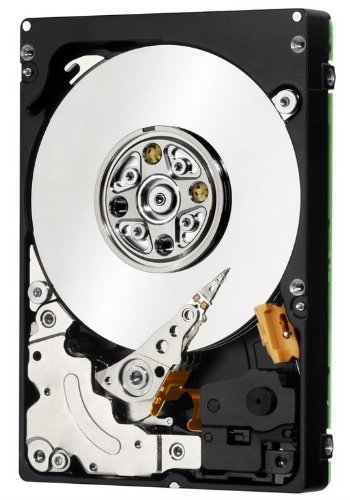 新品本物 600?GB HDD SAS (shin RPM 10?K その他 - fishtowndistrict.com