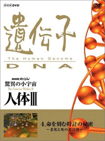 NHKスペシャル 驚異の小宇宙 人体III 遺伝子~DNA 第4集 命を刻む時計の秘密~老化と死の設計図~ [DVD]　(shin_画像1