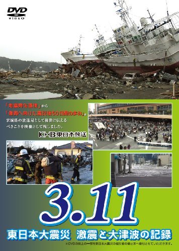 3.11 東日本大震災 激震と大津波の記録 [DVD]　(shin_画像1