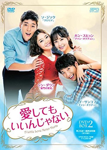 愛してもいいんじゃない DVD-BOX2(9枚組)　(shin_画像1