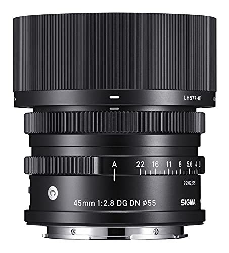 SIGMA 45mm F2.8 DG DN | Contemporary C019 | Leica Lマウント | Full-Size/　(shin