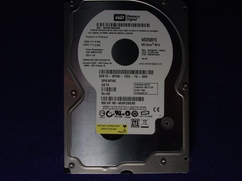 250GB SATA 3.5インチハードドライブ。　(shin_画像1