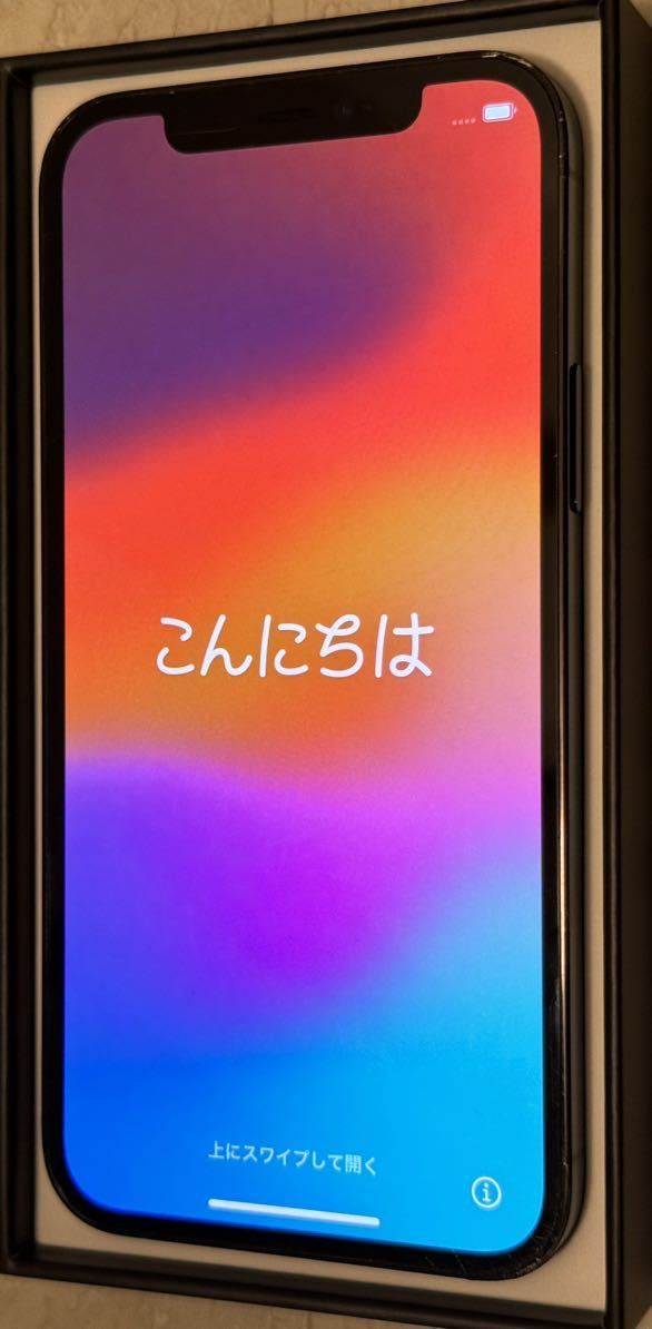 定番人気！ 256GB 12 Pro iPhone Pacific Store購入品 SIMフリー 動作