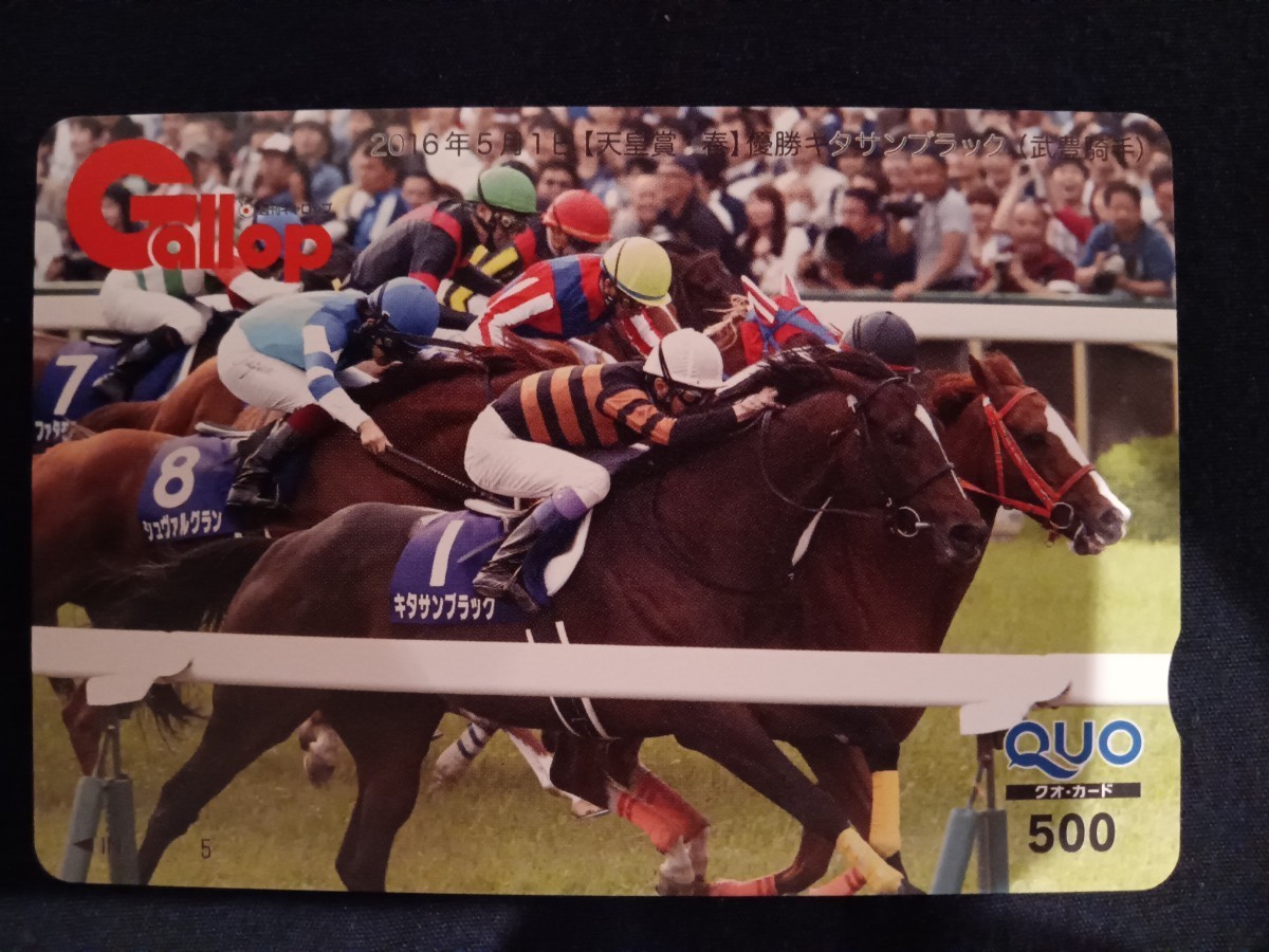  weekly Gallopkita sun black name horse QUO card QUO card .. heaven ..( spring )gyarop horse racing G1