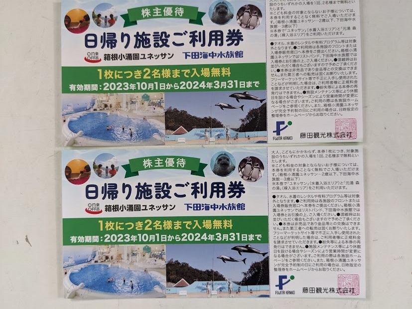 藤田観光　株主優待　日帰り施設ご利用券2枚　有効期限2024年03月31日_日帰り施設ご利用券（2枚）