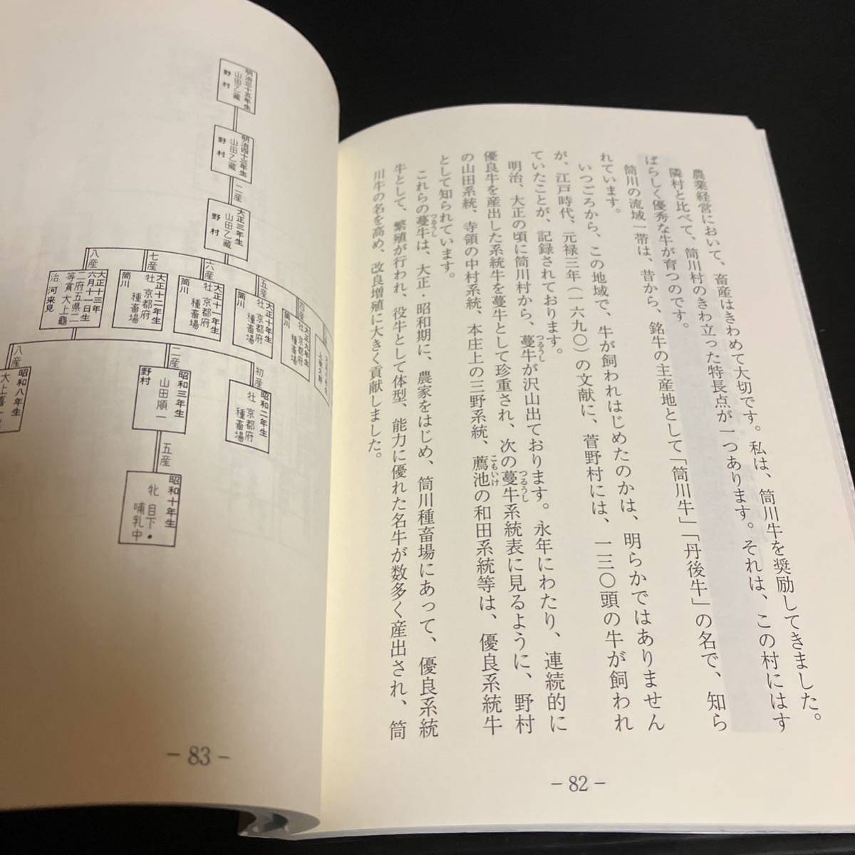 11050円 ※値下げ交渉可 百年前の(明治・大正年代) 丹後の村 11050円 ※値下げ交渉可 百年前の(明治・大正年代) 丹後の村