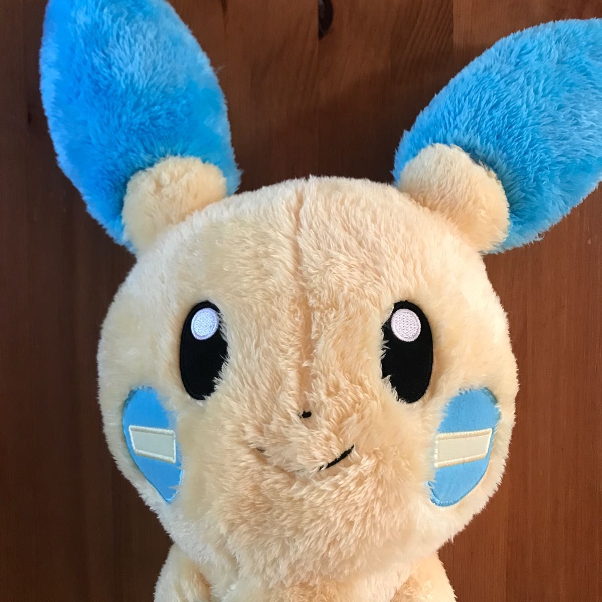 ポケットモンスター ぬいぐるみBIG大