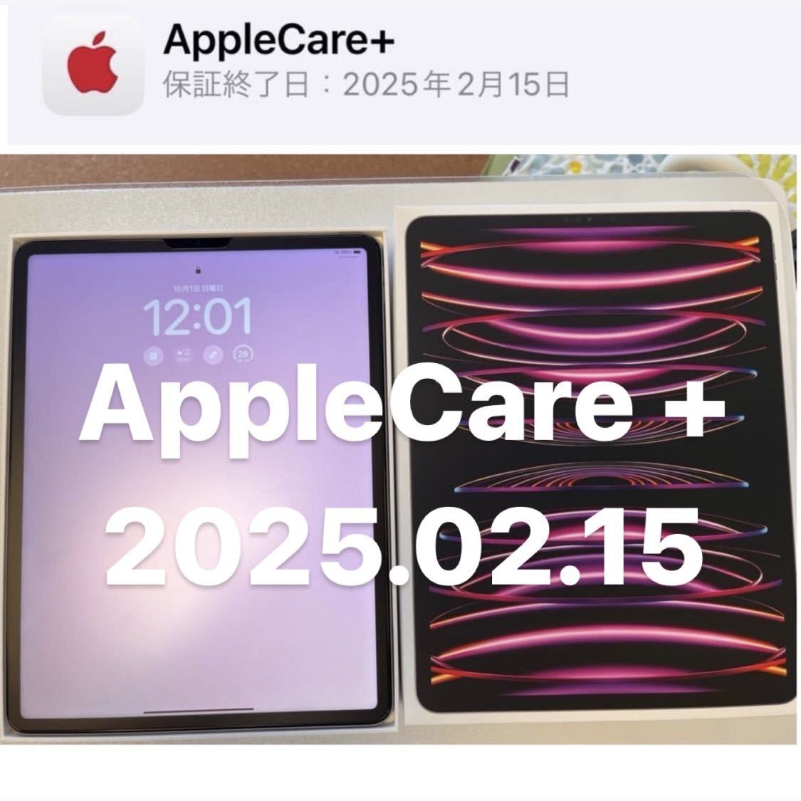 予約】 iPad AppleCare+ Pro M2 MNXP3J/A 2022年モデル スペースグレイ