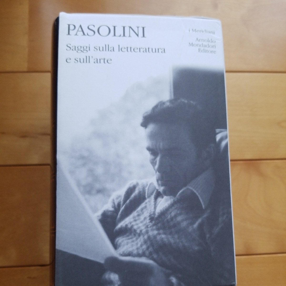 PASOLINI Saggi sulla letteratura e sull'arte ピエル・パオロ PASOLINI Saggi sulla letteratura e sull'arte ピエル・パオロ