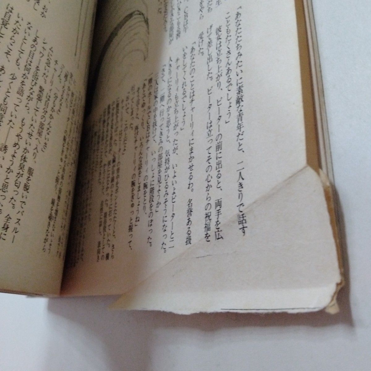 JUNE 1985 1 9 No 20 24 ジュネ 竹宮恵子 折原みと 坂田靖子 JUNE 1985 1 9 No 20 24 ジュネ 竹宮恵子 折原みと 坂田靖子