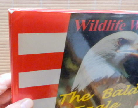 ハゲタカ The Bald Eagle Endangered More No Wildlife Winners 禿げ鷲の身体的特徴と行動を解説 英語洋書 最大60 Offクーポン Bald ハゲタカ The Bald Eagle Endangered More No Wildlife Winners 禿げ鷲の身体的特徴と行動を解説 英語洋書 最大60 Offクーポン Bald