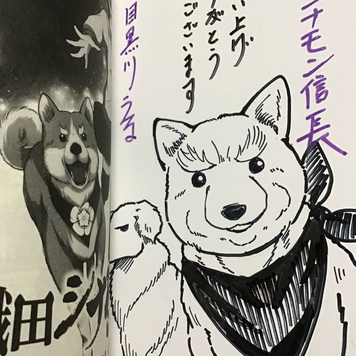 直筆イラスト入サイン本 織田シナモン信長 目黒川うな_画像3