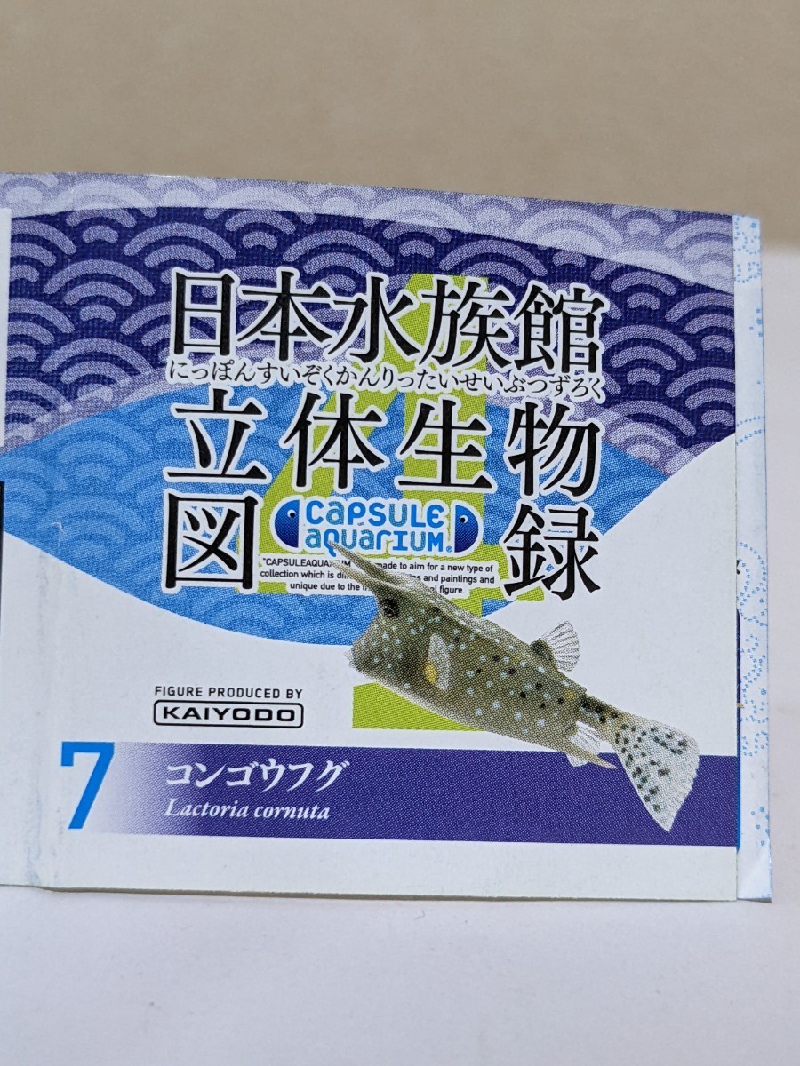 限定海洋堂日本水族館立体生物図録4 コンゴウフグキャラクター