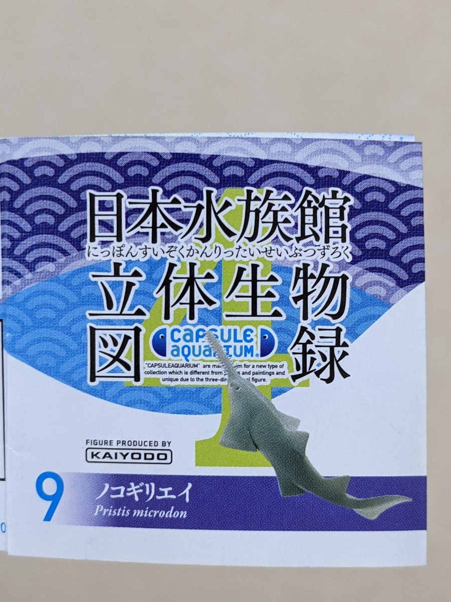 限定 海洋堂 日本水族館立体生物図録4 ノコギリエイ キャラクター