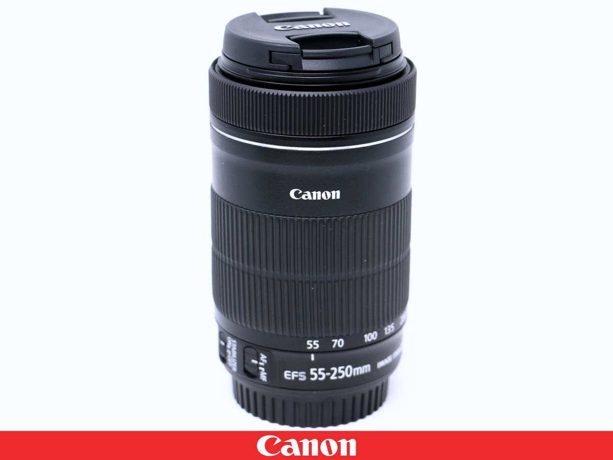 最新作 ◇◇美品◇Canon キャノン EF-S55-250mm F4-5.6 IS STM◇動画