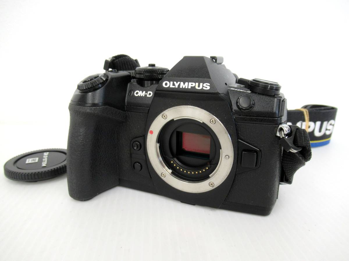 入荷中 【OLYMPUS/オリンパス】酉①37//OM-D/E-M1ⅱ/ミラーレス一眼