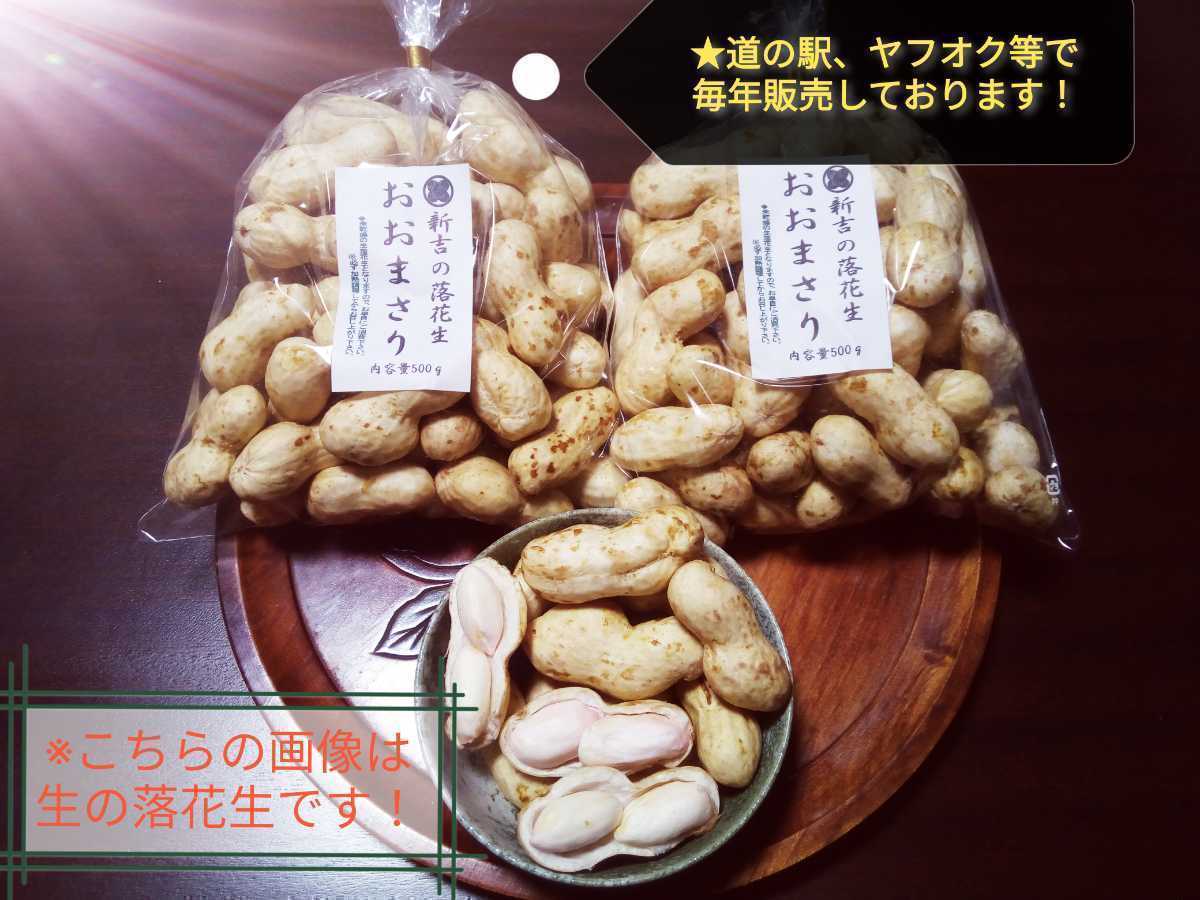 千葉県産ジャンボ落花生/おおまさり 簡易選別 水洗い品 合計10kg入り