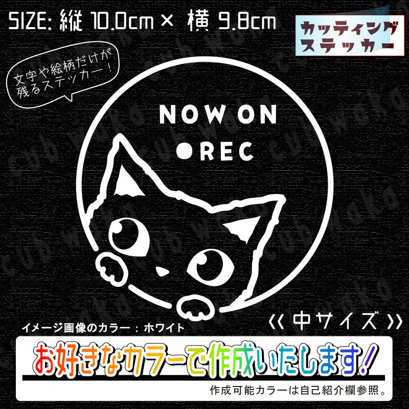 ドラレコ録画中②猫ステッカー　文字絵柄だけ残るカッティングステッカー・カブ・車・バイク・二輪・トラック・リアガラス・ねこ_画像1