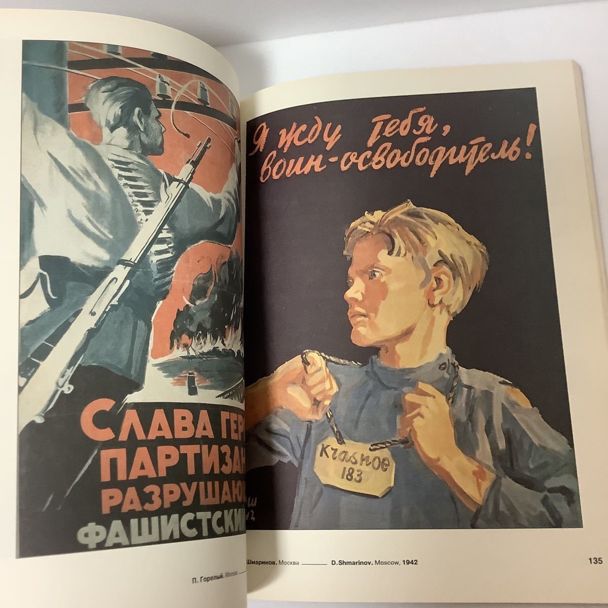 《S》洋書　ロシア・ソ連 ポスター集　RUSSIA 20th CENTURY / History of the Country in Poster_画像6