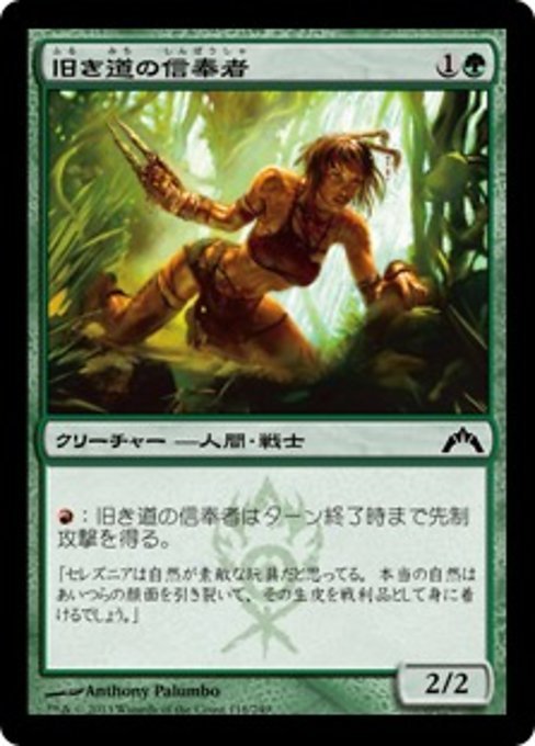 MTG ■緑/日本語版■ 《旧き道の信奉者/Disciple of the Old Ways》★FOIL★ ギルド門侵犯 GTC_画像1