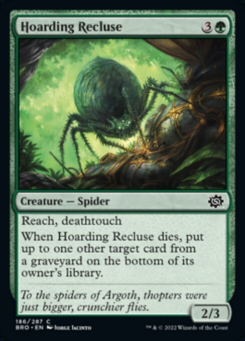 MTG ■緑/英語版■ 《溜め込むイトグモ/Hoarding Recluse》★FOIL★ 兄弟戦争 BRO_画像1