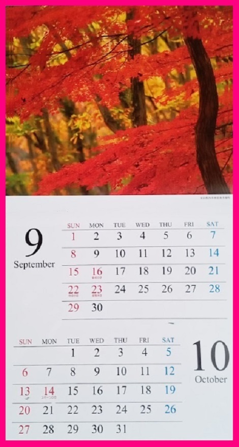 【送料無料：1冊:大きな カレンダー:大きい サイズ:B3:2024年】★癒される 綺麗な「日本の風景」壁掛け★60x30㎝ ★こよみ 暦:C_画像8