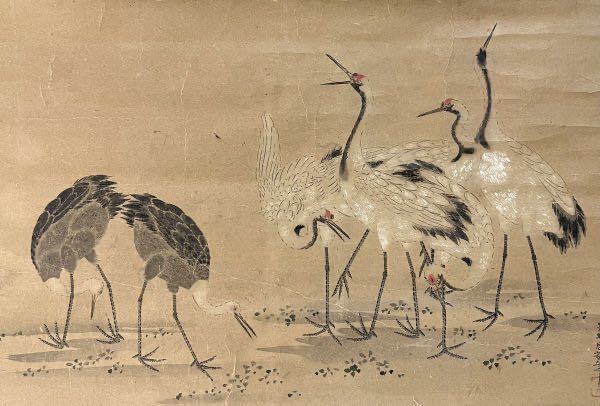 【模写】狩野周益『鶴図』掛軸 紙本 鳥獣 日本画 古画 人が書いたもの_画像3