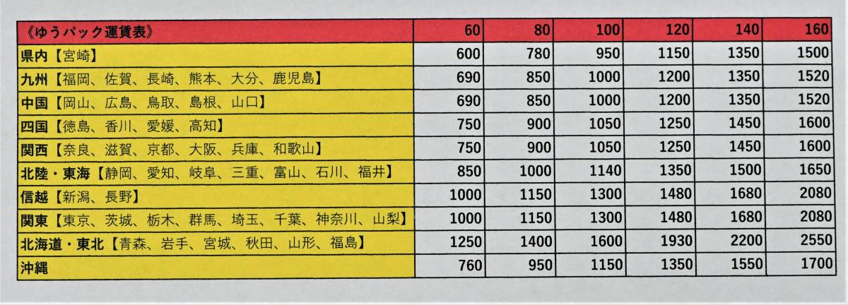 ★　第四種可　多肉植物　①　ハオルチア　ウンブラティコーラ　1鉢　★山野草　サボテン　観葉植物　インテリア　エケベリア_画像4