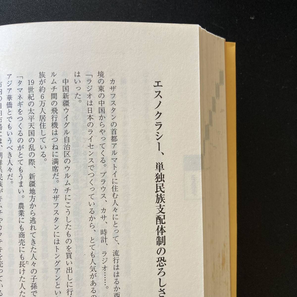 世界ブリーフィング : 同時代の解き方 / 船橋 洋一 (著)