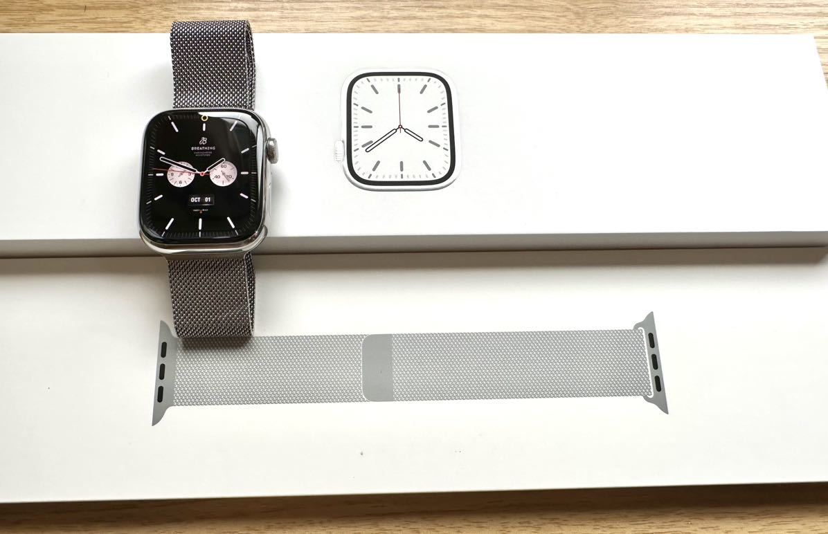 Apple watch 7 ステンレス　シルバー　45mm
