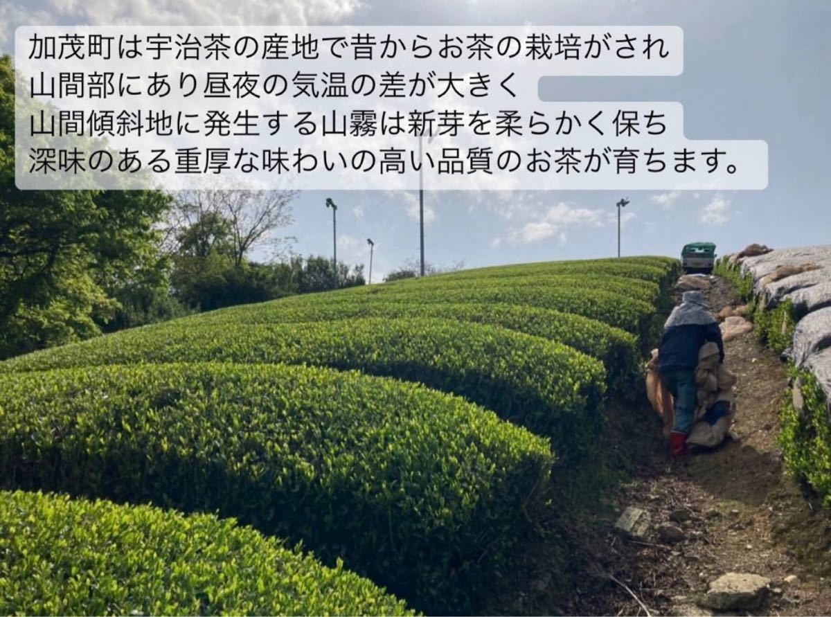 【無農薬】宇治抹茶20g(約20杯分)×3個セット　化学肥料・除草剤・畜産堆肥不使用 2023年産