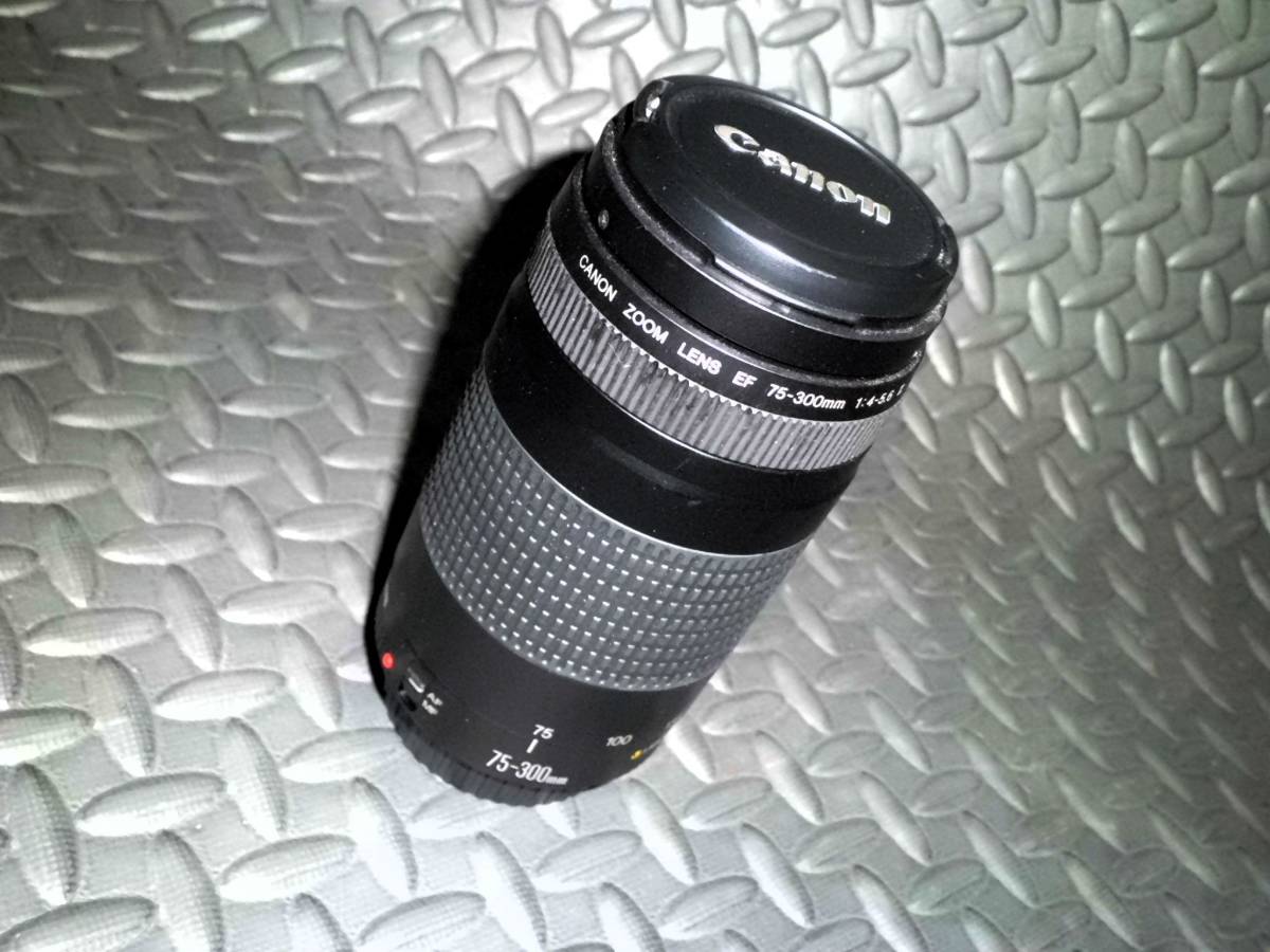 殿堂 即決有 美品 Canon EFマウント フルサイズ レンズ ズーム 望遠