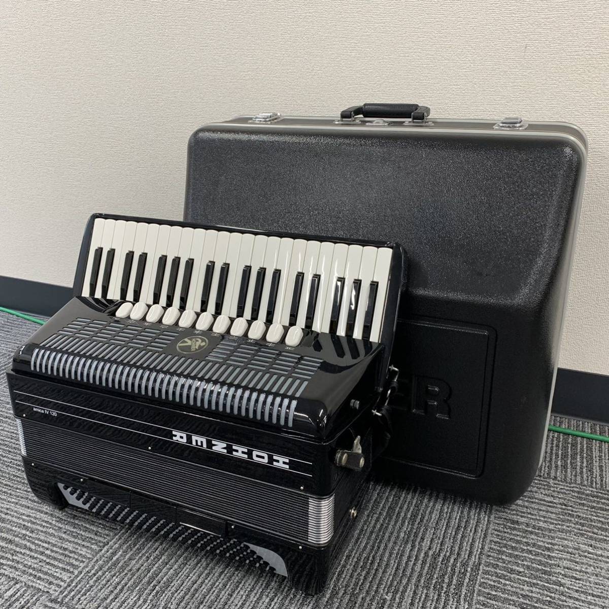 10/6-2 吉野杉板 P.Hillii /ヒリー ビカクシダ eba plants 10/6-2 吉野杉板 P.Hillii /ヒリー ビカクシダ eba plants