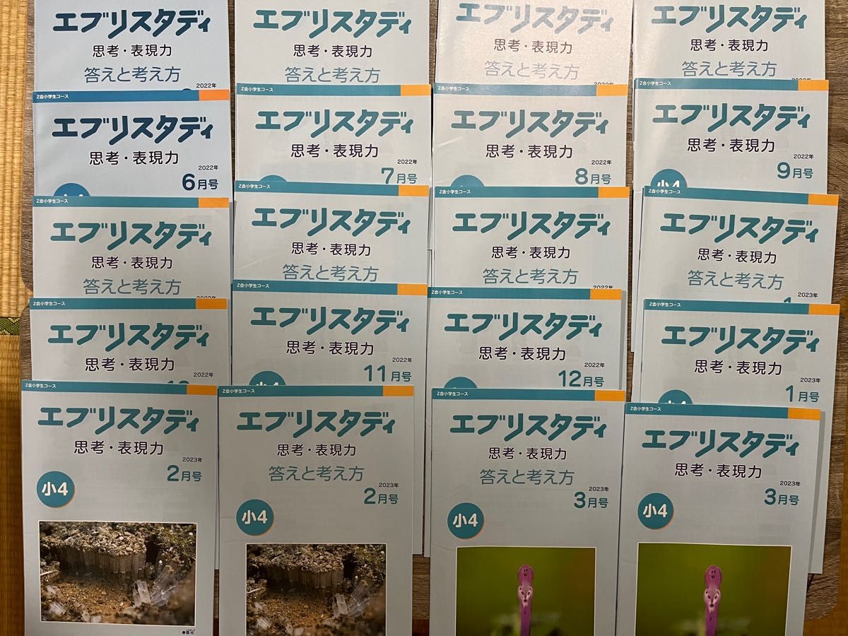 Z会 エブリスタディ 小4コース 2022年6月〜2023年3月 思考・表現力