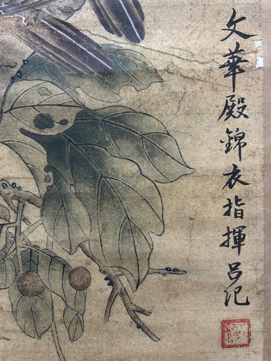 古美術 掛け軸 中国・明時代 呂紀書 「花鳥図」 紙本 立軸 書道 巻き物 真筆逸品 肉筆保証 唐物 古画 LT-101521_画像10