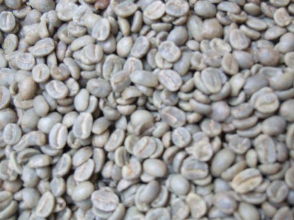 * own .. for * raw legume 1kg* mocha *( postage 300 jpy )