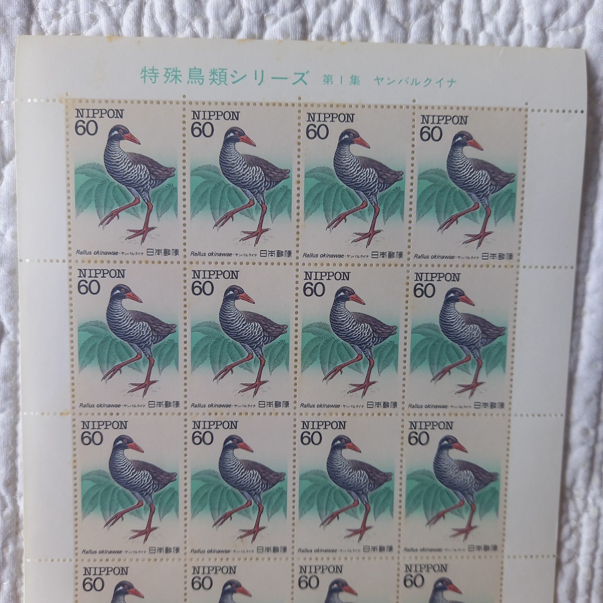 【 特殊鳥類 】 切手シート 第１集 ヤンバルクイナ 未使用 郵便切手 昭和の画像2