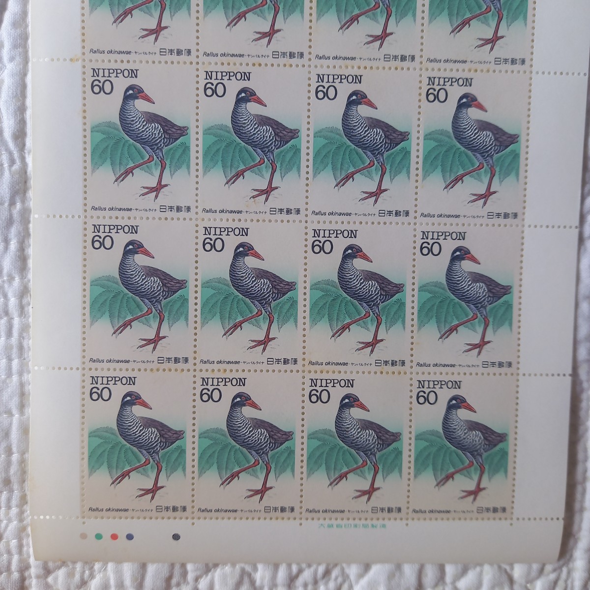【 特殊鳥類 】 切手シート 第１集 ヤンバルクイナ 未使用 郵便切手 昭和の画像4
