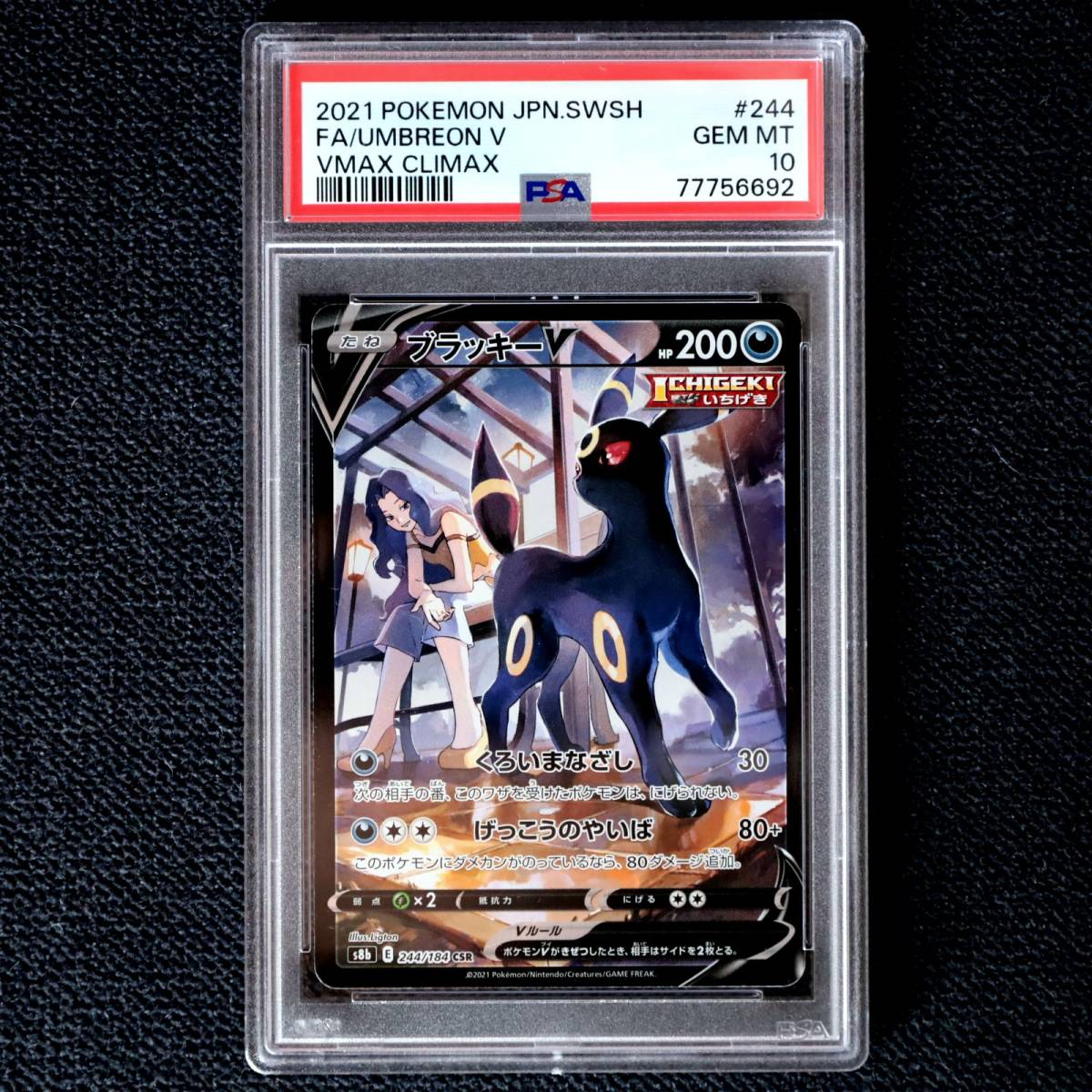 国産】 マオ CSR/カリン ブラッキーV PSA10 スイレン メイ ルチア