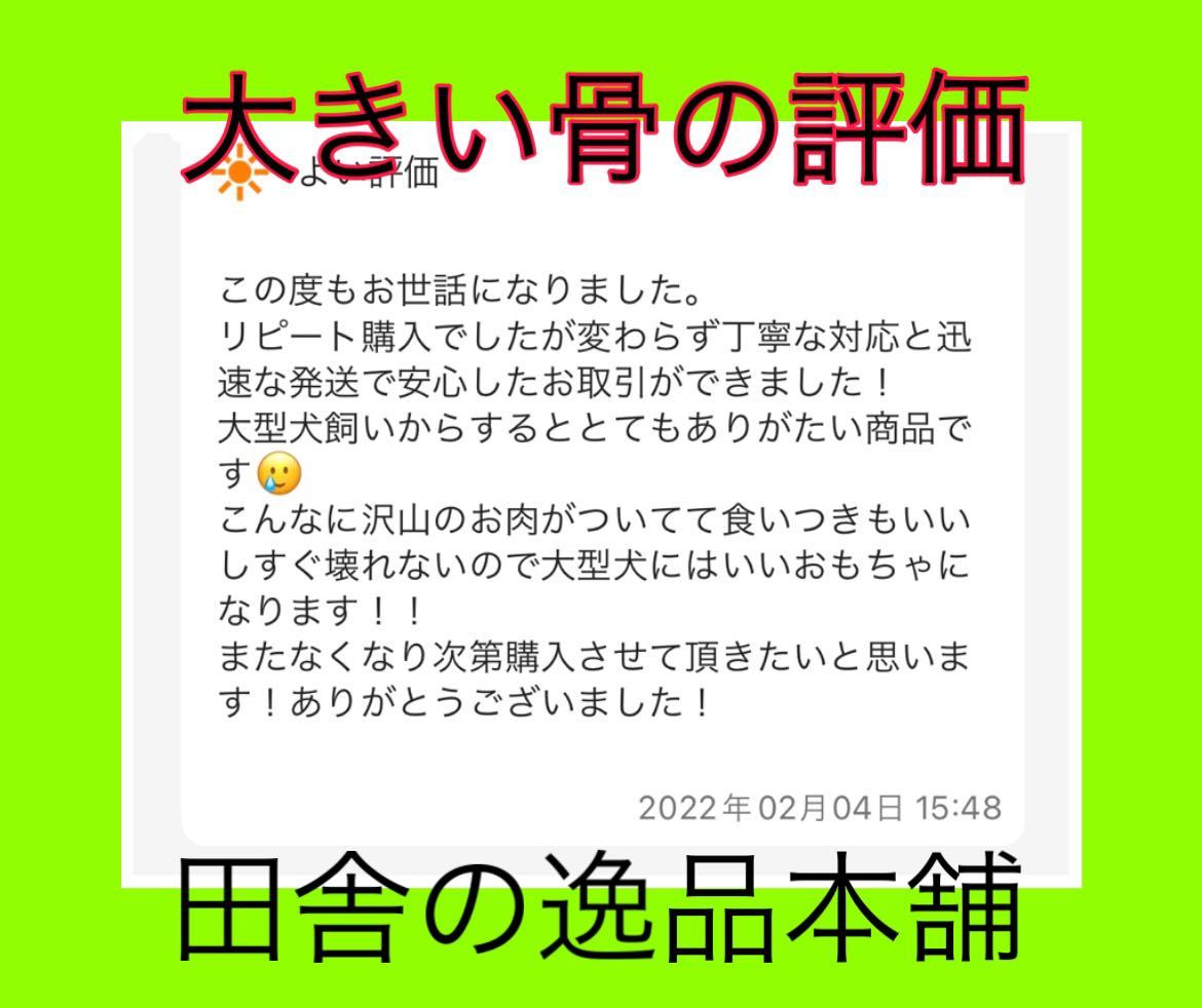 ★お買い得★ 中型犬〜大型犬におすすめ アウトレット 鹿or猪の骨 1kg 以上_画像10