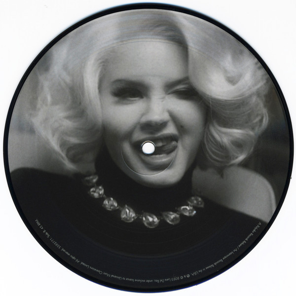 Lana Del Rey Candy Necklace 7"EP Single Limited Edition Picture Disc /Did you know that there's a tunnel under Ocean Blvd 収録_参考画像