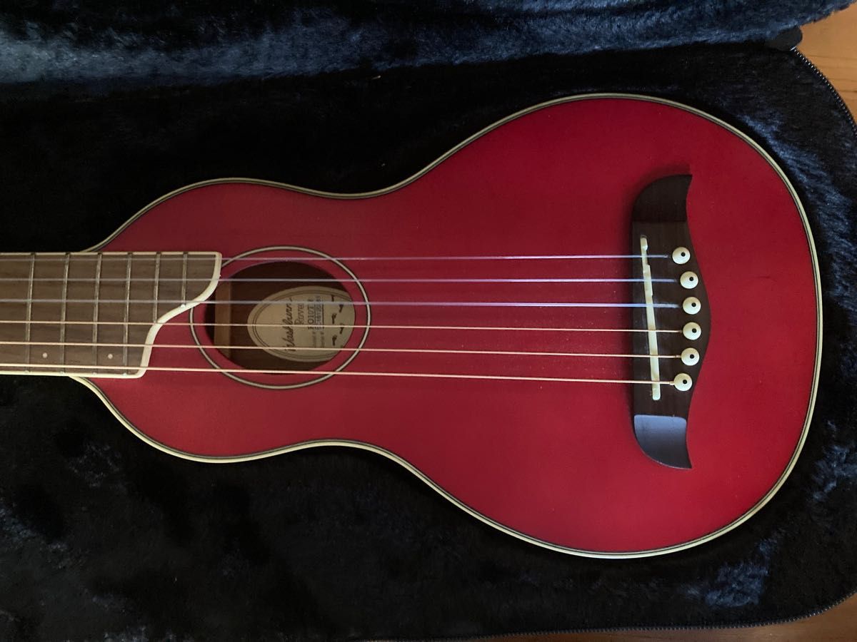 Washburn トラベルギター Rover RO10 アコースティックギター Washburn トラベルギター Rover RO10 アコースティックギター