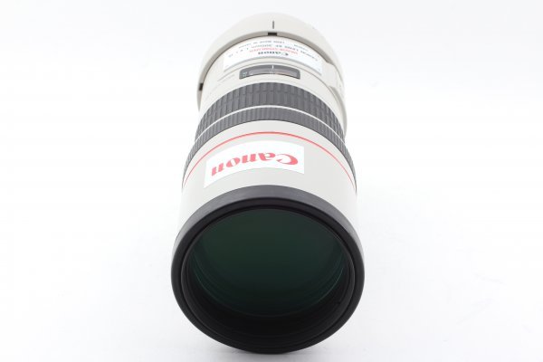 【ジャンク】 Canon 単焦点望遠レンズ EF300mm F4L IS USM フルサイズ対応_画像9