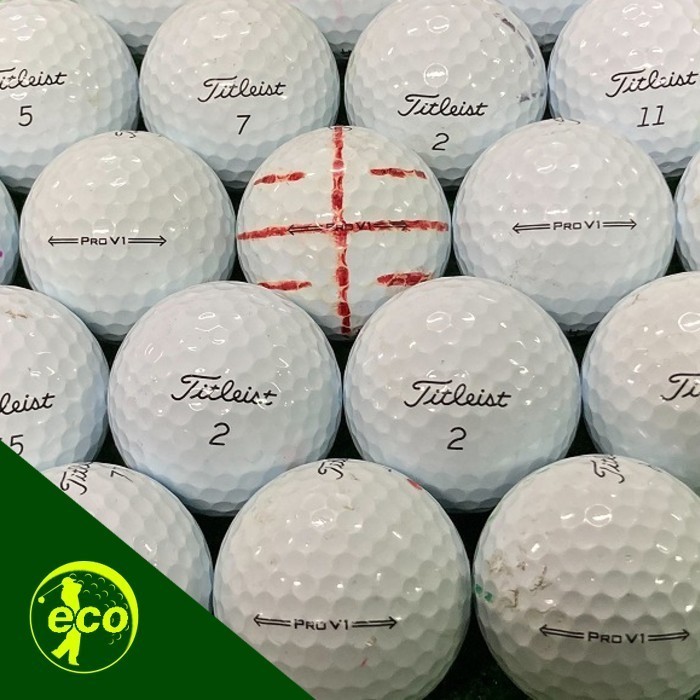 ロストボール タイトリスト PRO V1 2021年 ホワイト 10個 Bランク 中古 ゴルフボール ロスト Titleist エコボール_画像1