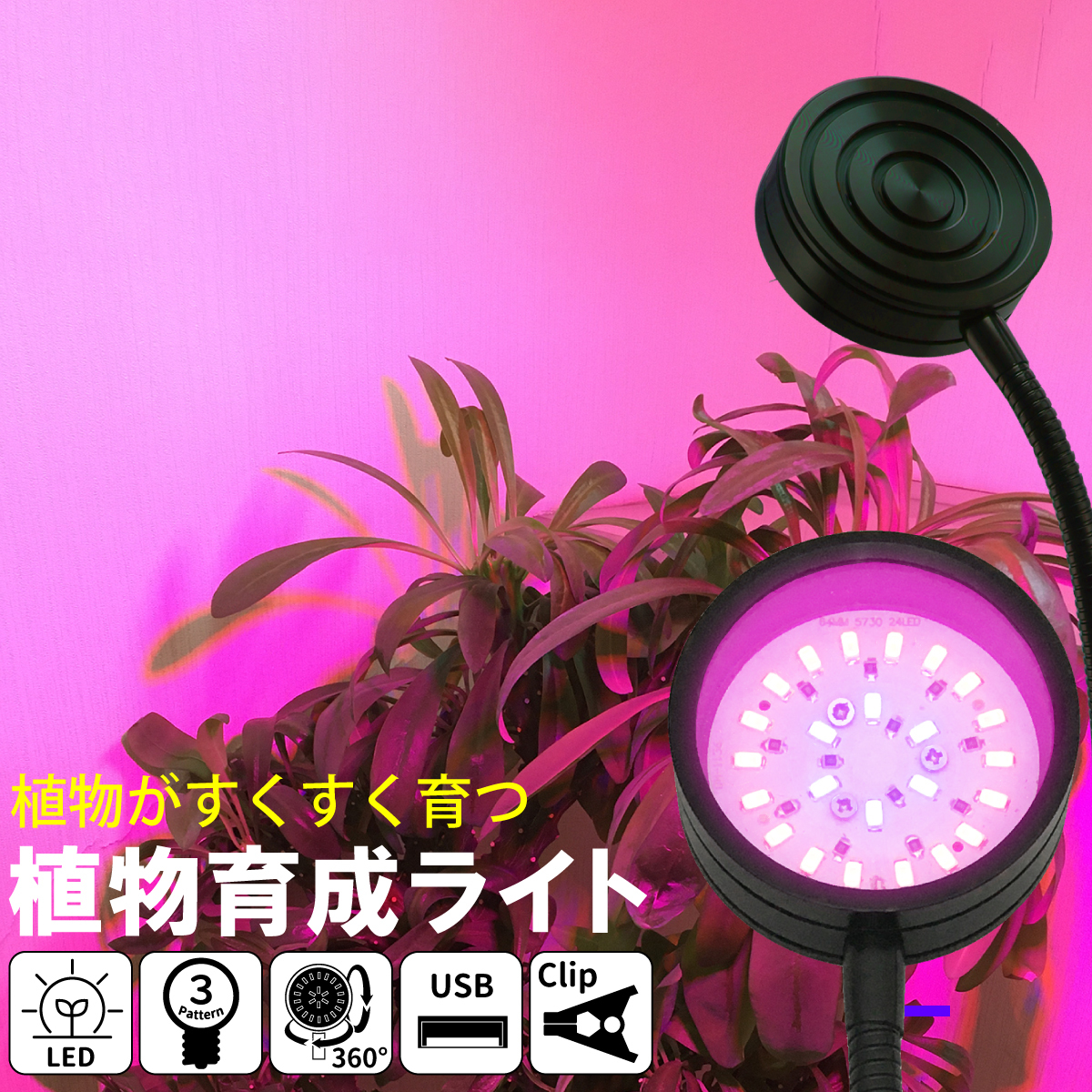 植物育成ライト USB-Type LED 24個 LED 12W ３色点灯 ブルー レッド ピンク 植物 育つ ライト 植物育成 観葉植物 多肉植物 水耕栽培_画像1